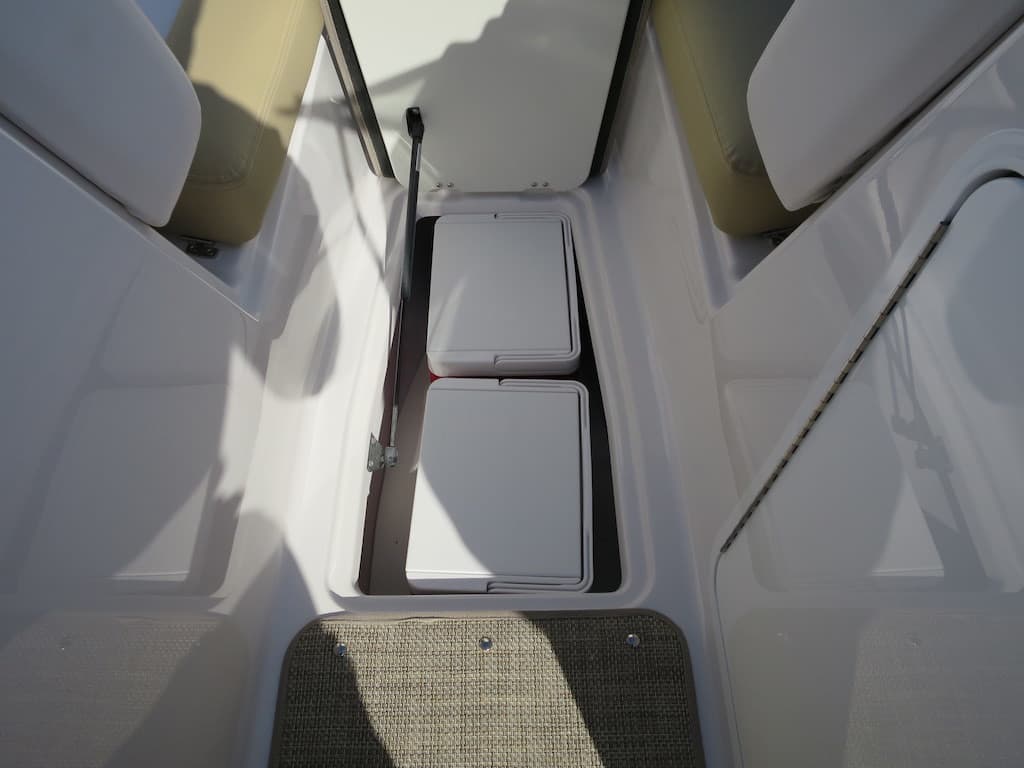 scarab 255 live well